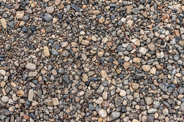 Pebbles background with dry leafs and sprigs.
