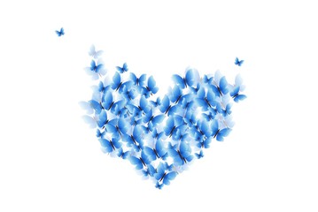 Butterflies heart