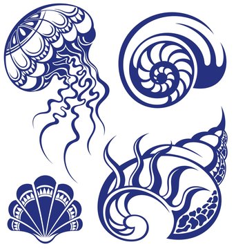 Set of jellyfish and various seashells