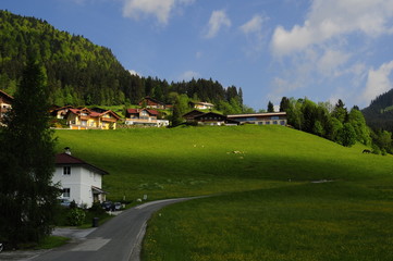 Fototapeta na wymiar Typical Alps village, Gosau, Austria