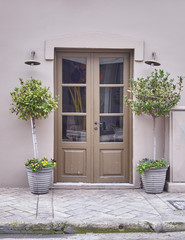 Fototapeta na wymiar vintage door and flowerpots, Athens Greece