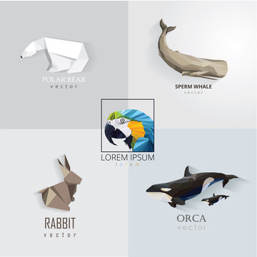 animal logo set collection in trendy low polygon style. Polar bear, sperm whale, macaw parrot, rabbit and orca whales