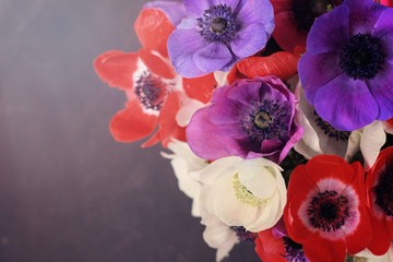 Colorfull bouquet