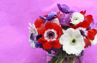 Colorfull bouquet on violet backgroung