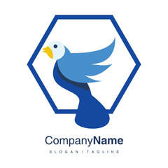 Bird logo icon vector