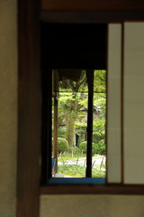 Fototapeta premium 犬山市有楽苑