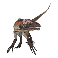 Dinosaur Utahraptor