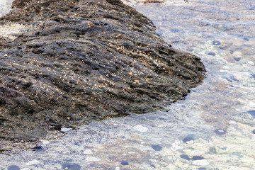 Sharp gray rocks on the beach