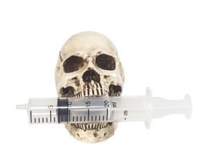 human skull and stethoscope on white background