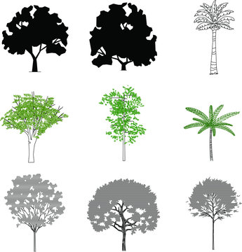 Trees silhouette vector