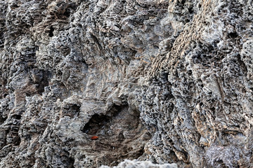 Sharp gray rocks on the beach