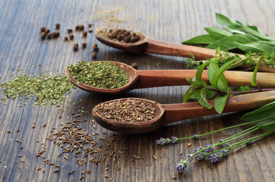 Spices and dried herbs on wooden spoons, fresh organic herbs on wooden background