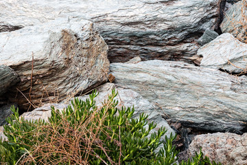 Sharp gray rocks on the beach