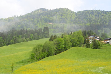Typical Alps village, Gosau, Austria
