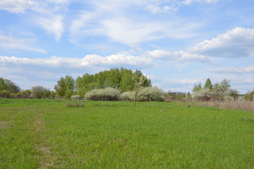 Obraz premium На природе