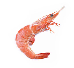 fresh shrimp isolated on a white background