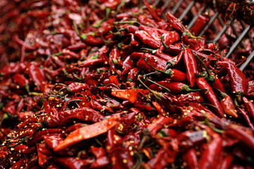Fototapeta premium Sun dried chili pepper 