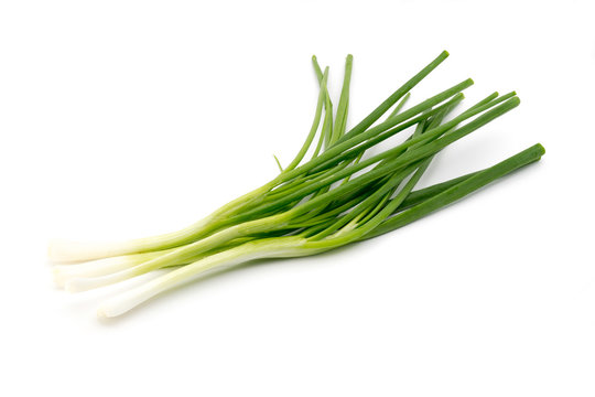 Spring Onions isolated