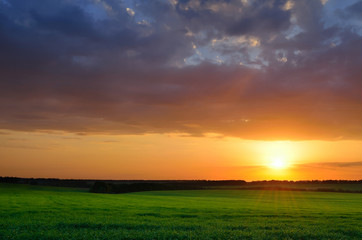Naklejka na ściany i meble Sunset sky on a summer green field