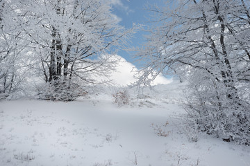 Winter landscape in the mountains, the trees in hoarfrost 