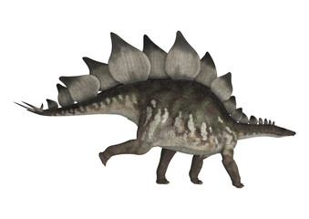 Dinosaur Stegosaurus © photosvac