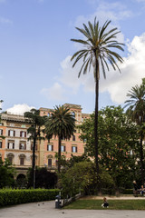 Fototapeta na wymiar Piazza Vittorio Emanuele II garden