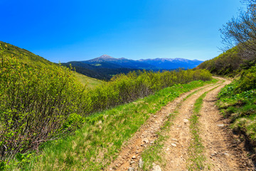 Fototapeta na wymiar The road in the Carpathians