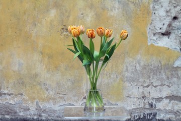 Orange tulips on rustic background