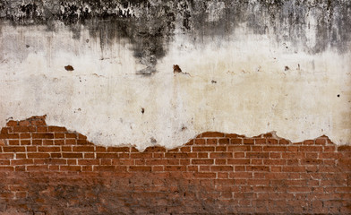 Red brick wall with space on old cement background