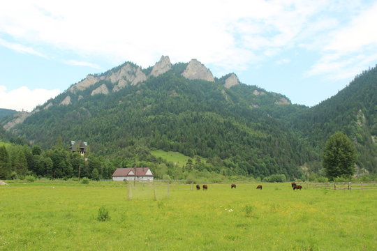 Trzy Korony