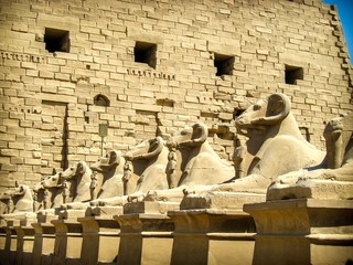 Sphinxes avenue at Karnak Temple (Luxor, Egypt)