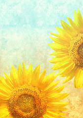 Texture of the old paper with sunflowers