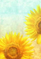 Foto op Plexiglas Geel Textuur van het oud papier met zonnebloemen