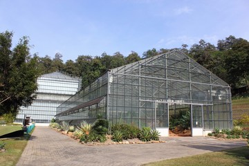 Fototapeta premium Greenhouse in Queen Sirikit Botanical Gardens, Chiang Mai Province.