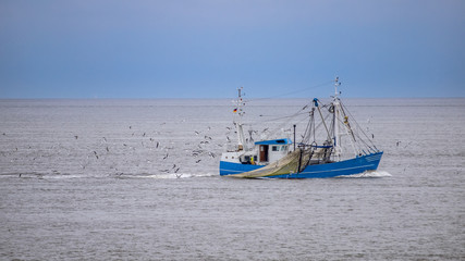 Fototapeta premium Fishing vessel Waddensea
