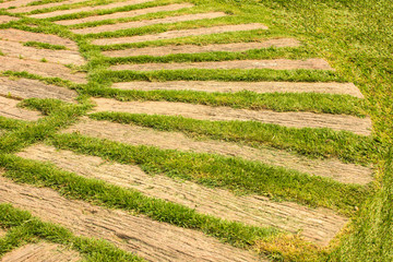 Pathway with natural green grass 