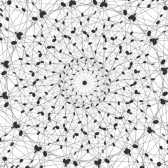 Vector Social Networks 