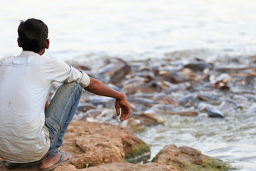 La fame del pesce gatto