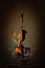 Shattered Violin with Water