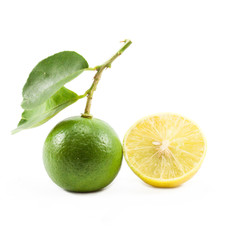green and yellow color lime