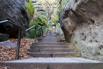 Wander Treppe