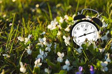 Alarm clock and flowers