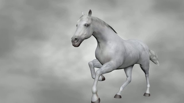 Detailed 3D medical animation showing equine recurrent uveitis.
Part1: The range of a horse's monocular vision and eye anatomy