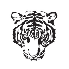 tiger face on white background