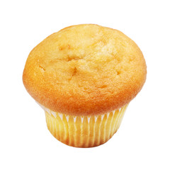 Lemon Muffin