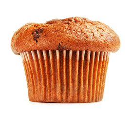Chocolate Chip Muffin