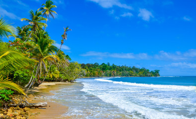 Paradise Tropical Island - Bocas del Toro - Island Colon - obrazy, fototapety, plakaty