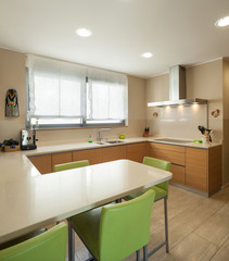 apartment furnished, modern kitchen