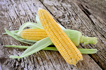 Sweet corn closeup