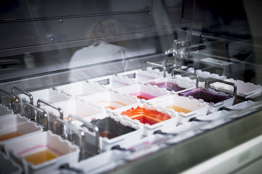Histological examination with dye bath
